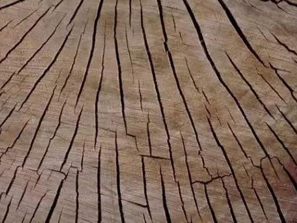 陕西防止菠萝格木材板材开裂，八个方法